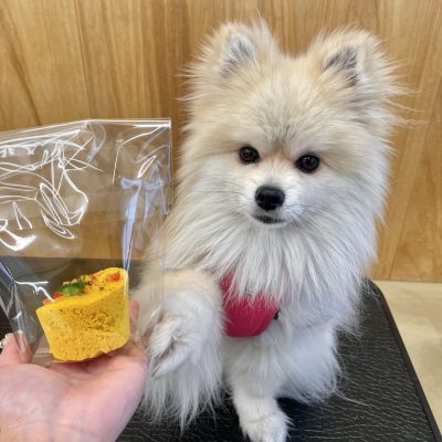 KakaoTalk_20250613_111138310_02